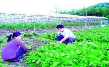 农技师的个人总结范文5篇