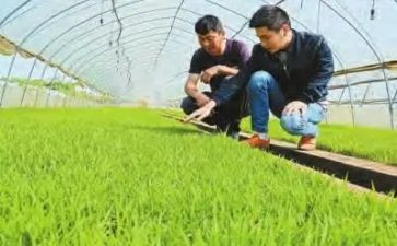2024农技培训心得体会5篇