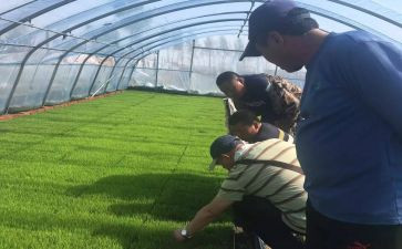 评高级农艺师工作总结7篇