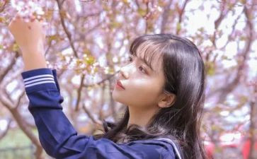 3.8女生节活动策划6篇