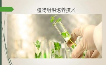 培养能力心得体会5篇