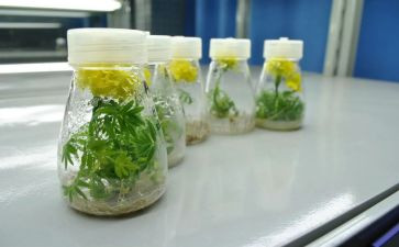 培养教育的心得体会7篇