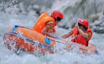 漂流岛读后感7篇