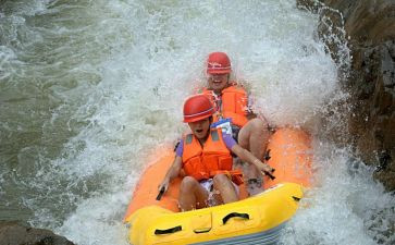 漂流岛读后感最新5篇