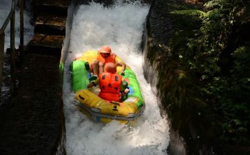 漂流岛读后感6篇