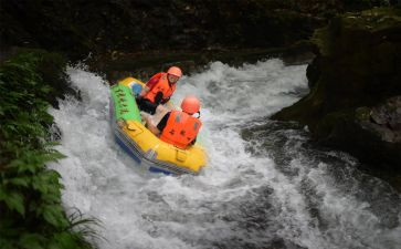 漂流岛读后感优质7篇