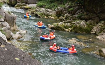 漂流屋读后感最新8篇