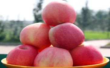 幼儿园小班大苹果教案6篇