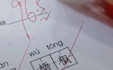 高中毕业评语自我鉴定5篇
