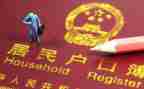 投靠迁户口申请书5篇