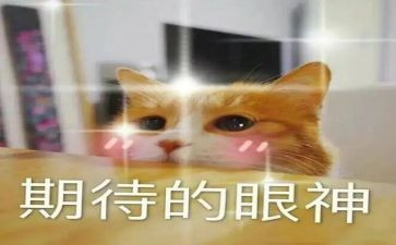 对雪的期待作文优秀6篇