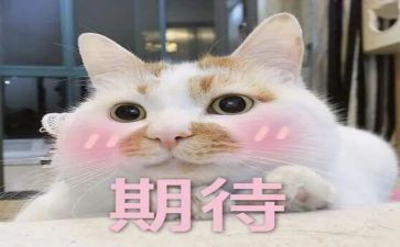 我期待开学作文6篇