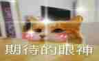 对雪的期待作文5篇