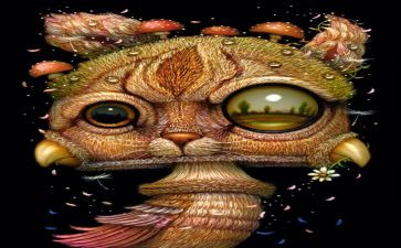 我奇幻的梦作文5篇