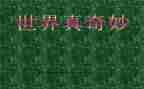 我奇妙的发现作文6篇