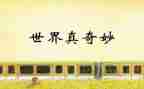 奇妙作文400字优质8篇