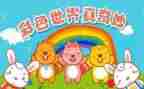 我奇妙的家作文优质5篇