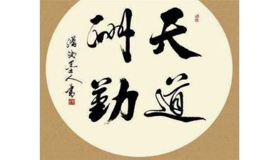 勤劳的我作文7篇