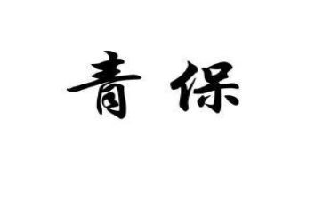 社区青保工作总结模板6篇