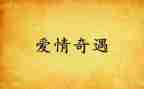 《乌丢丢的奇遇》的读后感通用6篇