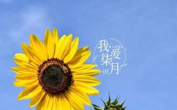 幼儿大班七月份月总结8篇