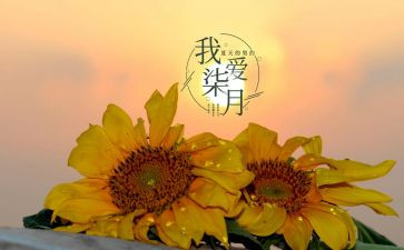托班七月工作计划7篇