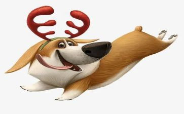 犬训练心得体会优质5篇