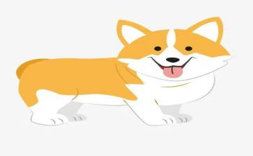 犬训练心得体会参考8篇