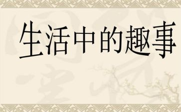 家中趣事300字作文6篇