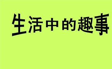 乡村趣事作文500字5篇