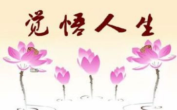 铸精彩人生演讲稿优质6篇
