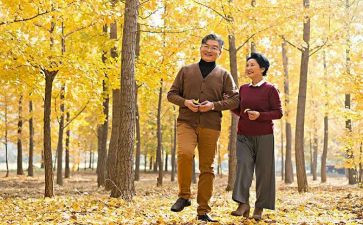 初中语文《散步》教案5篇