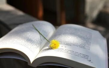 湘行散文读后感8篇