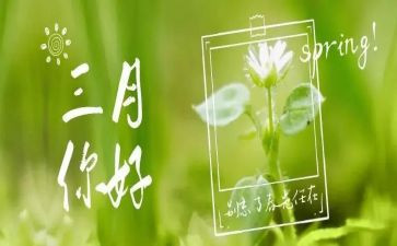 三月班工作总结精选5篇