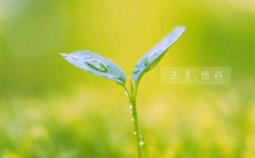 大班三月工作总结5篇