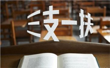 2024年三支一扶支医工作总结5篇