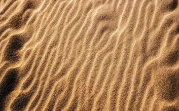 沙龙活动策划8篇