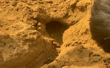 小雨沙沙音乐教案7篇