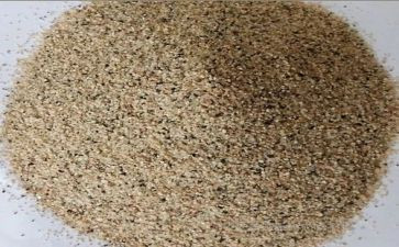 沙龙策划活动方案6篇