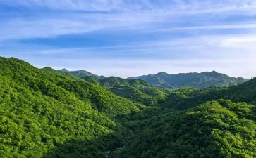 生命重于泰山观后心得体会7篇