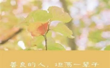 慈善救助会申请书优秀6篇