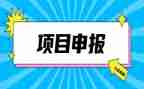 申报中一述职报告参考6篇