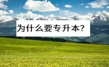 退专升本申请书范文8篇