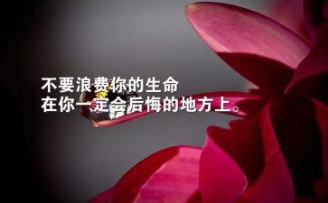 生存力读后感5篇
