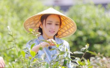 生活感悟作文600字优秀5篇