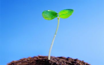 珍爱生命远离危险作文优质6篇