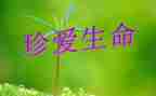 珍爱生命远离危险作文8篇