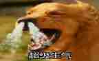 她生气了的作文8篇