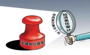 审计的工作总结最新7篇
