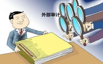 审计员的工作总结优质8篇